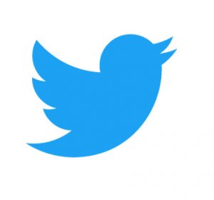 logo tweetter 300x280 - logo tweetter